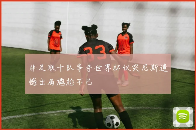 非足联十队争夺世界杯仅突尼斯遗憾出局尴尬不已
